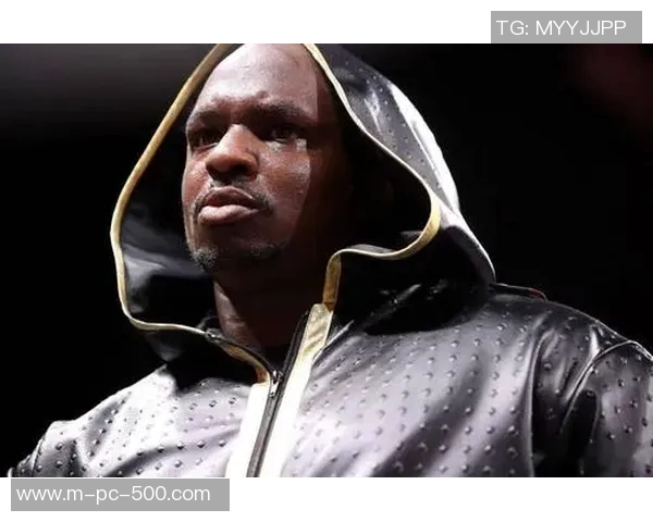 波维特金与维尔德的巅峰对决谁将赢得拳坛荣耀之战